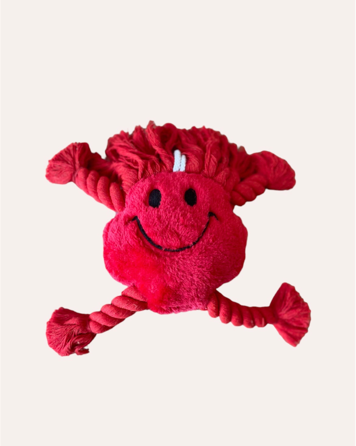 Red smiley with. rope and pole - dog toy